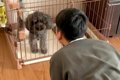 学校の友達と愛犬を…の画像