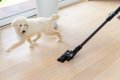犬が『恐怖』を感じ…の画像