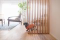 愛犬家必見！リノベ…の画像