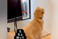パパが出張に行って…の画像