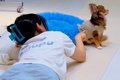 名前を呼んでもそっ…の画像