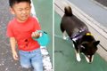 犬の散歩中、叱られ…の画像