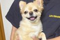 弟に抱っこされると…の画像