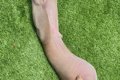 『たまに何と生活し…の画像