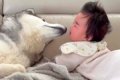 赤ちゃんがぐずりだ…の画像