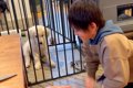 男の子が赤ちゃん犬…の画像