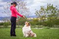 犬の『わがままサイ…の画像