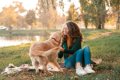 犬から『溺愛される…の画像