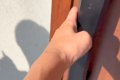 大好きな『人間のお…の画像
