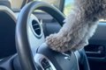 『車の運転席から外…の画像