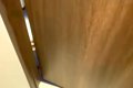 トイレに入っていた…の画像