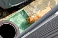 水遊びする大型犬を…の画像