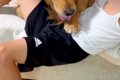 サッカーの練習に行…の画像