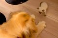 仕事終わり、捨てら…の画像