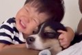 小さな男の子が『生…の画像
