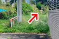 朝、散歩から『2時間…の画像