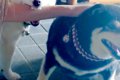 遊びに来た友人を歓…の画像