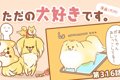 ただの犬好きです。…の画像