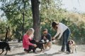 『フレンドリーな犬…の画像