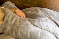 寝室から『うぎゃー…の画像