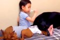 小さな男の子が『犬…の画像