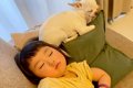 赤ちゃんがおねんね…の画像