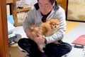 朝起きた犬が1番に向…の画像