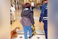 イタリアでスケボー…の画像