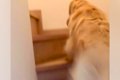 「あかんあかんあか…の画像