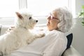 犬が『飼い主にもた…の画像