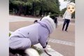 散歩中、おじいちゃ…の画像