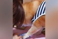 スマホゲーム中の女…の画像