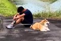 犬を説教した翌日、…の画像