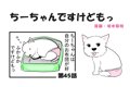 ちーちゃんですけど…の画像