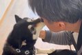 がん治療で入院して…の画像