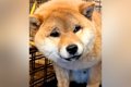 今にも泣きだしそう…の画像