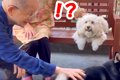 大好きな近所のおじ…の画像
