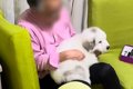 超大型の子犬を『膝…の画像