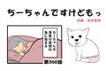 ちーちゃんですけど…の画像