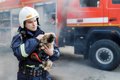 犬が原因で火事が起…の画像