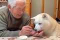祖父と犬が一緒に暮…の画像