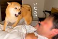 いるはずのない父を…の画像