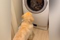 初めて家の中を歩き…の画像