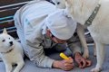 父が犬用の出入り口…の画像