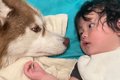 ママが家事をしてい…の画像
