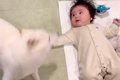 転がる赤ちゃんが『…の画像