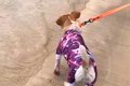海が怖くて近づけな…の画像