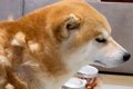 『体のどこに隠し持…の画像