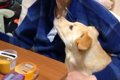 小さな頃から『おじ…の画像