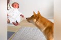 生まれたての赤ちゃ…の画像